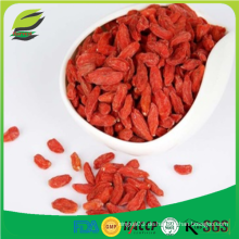 Lycium barbarum goji beeren organisch